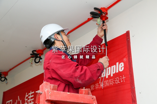 無錫紫蘋果裝飾