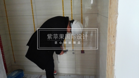 無(wú)錫紫蘋果裝飾