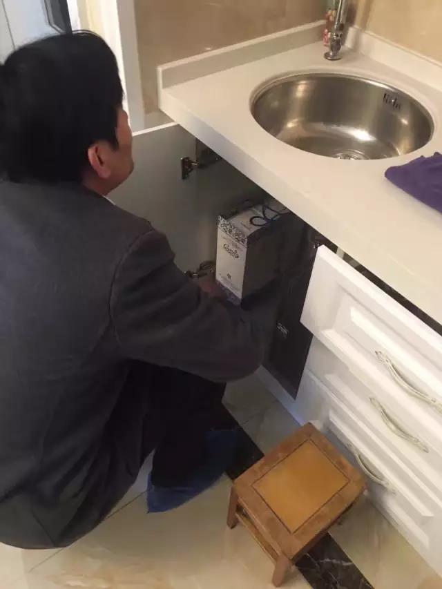 無錫紫蘋果裝飾