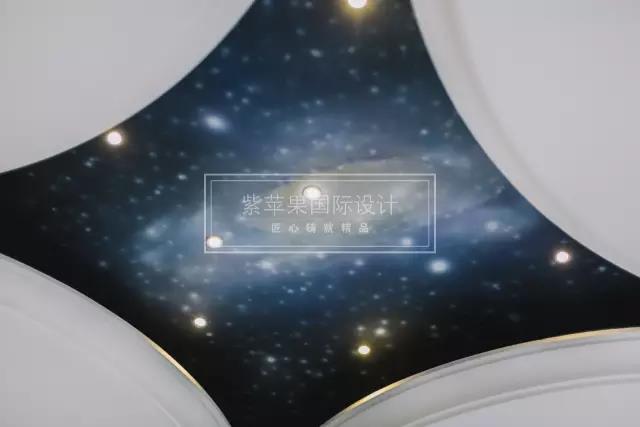 無錫紫蘋果裝飾