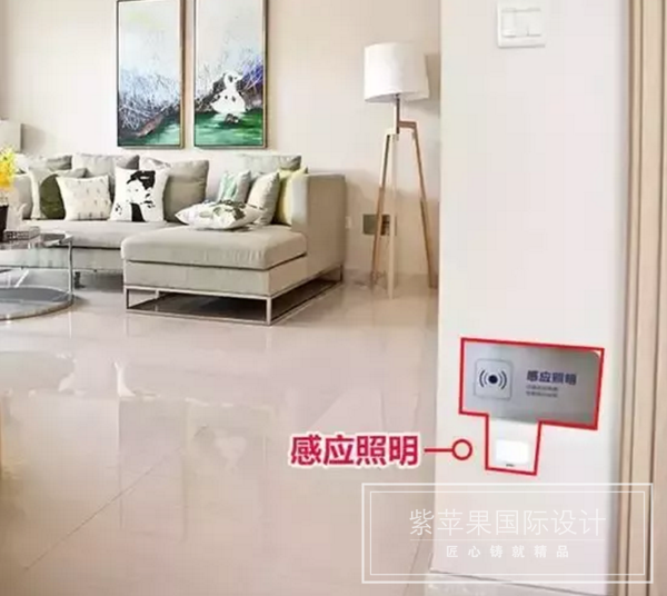 無錫紫蘋果裝飾