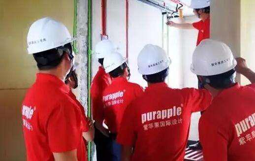 無(wú)錫紫蘋果裝飾