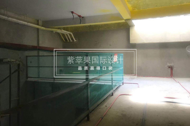 無錫紫蘋果裝飾 無錫紫蘋果裝飾