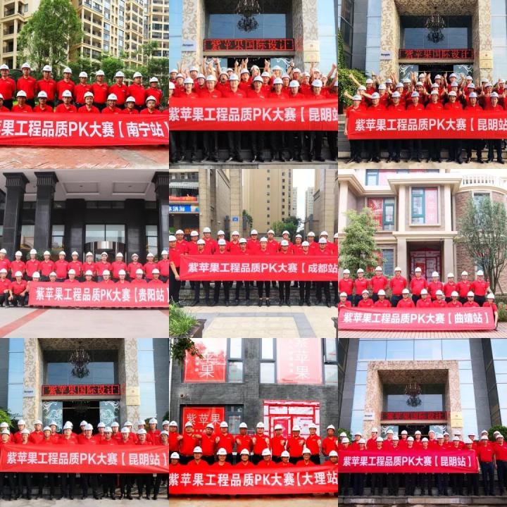 無錫紫蘋果裝飾