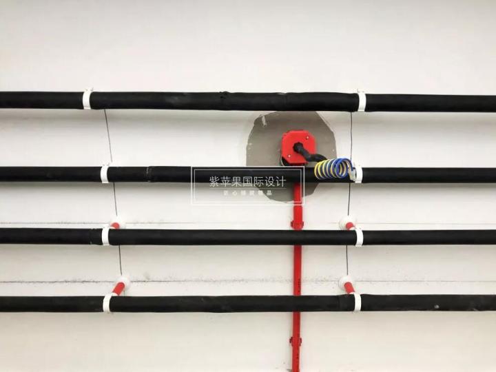 無錫紫蘋果裝飾