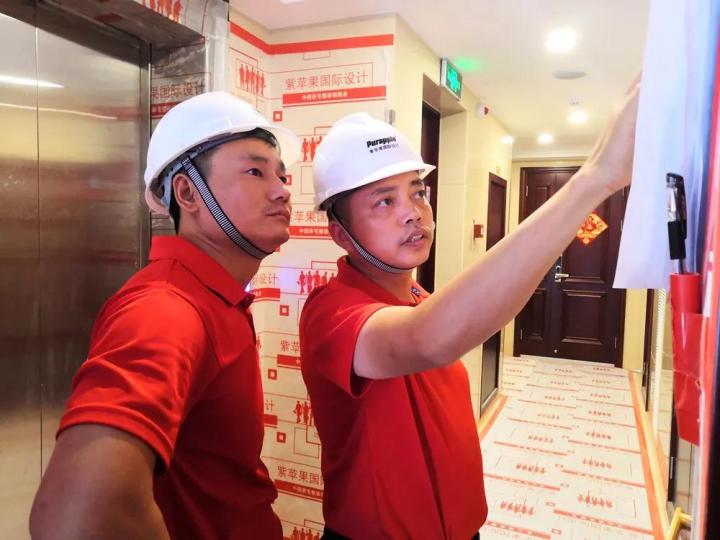 無錫紫蘋果裝飾