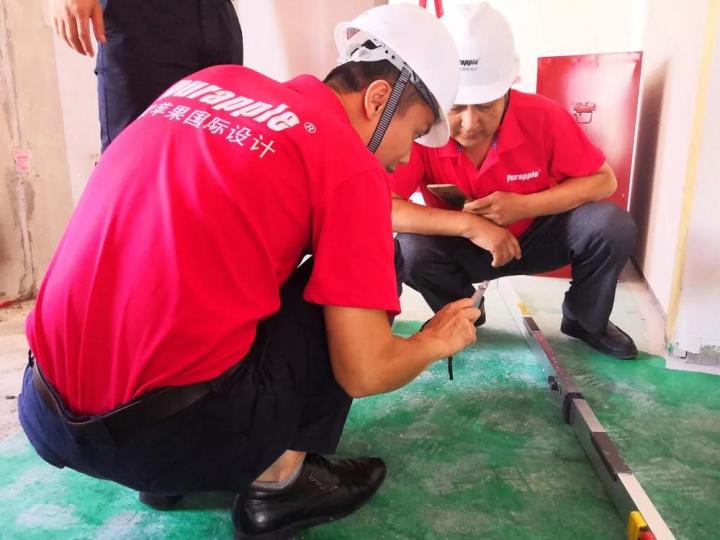 無錫紫蘋果裝飾